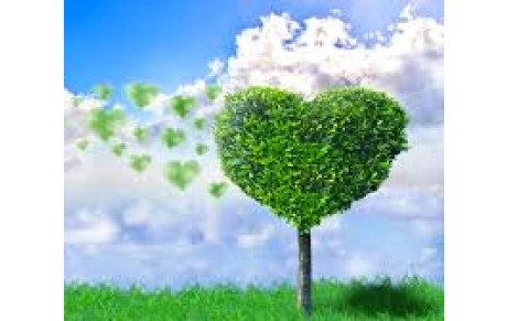 Retour sur la Journée du Souvenir et Permanence du 6 novembre